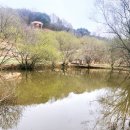 돌리네습지 초소 | 문경 가족여행 _돌리네 습지 방문후기