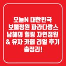 삼보서울민박cafe | 오늘N 대한민국 보물정원 파라다랑스｜남해의 힐링 자연정원 &amp; 유자 카페 리얼 후기 총정리!
