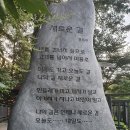 고양화전16 이미지