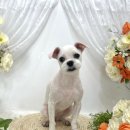 하이, 멍 이미지