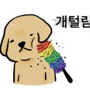 모모 애견미용 이미지