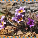 대촌마을 이미지