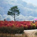 정원사진관 이미지