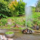 고대산야외 이미지