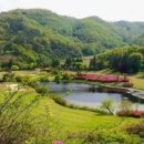 전주샹그릴라CC 이미지