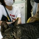 성산로4길 이미지