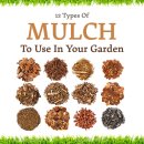 멀치(Mulch)에 대한 유용한 정보입니다.(2) 이미지