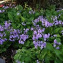 하늘정원2 이미지