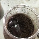 박병주농장 이미지