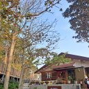 송정광어골로 이미지