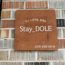 Stay Dole 이미지