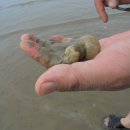 몽산펜션 이미지