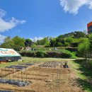 다나암요양병원 이미지