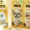 앤더독 이미지