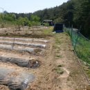 김성남 농장 이미지