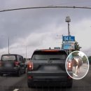 활보농장 이미지