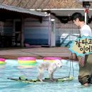 강아지가정부 이미지