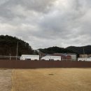 개인공간 애견펜션 이미지