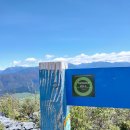 힐 스프링 이미지