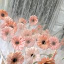 봉림초등학교 이미지