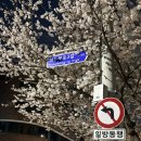 희우정로 31 네이버블로그