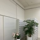 와이스튜디오 이미지