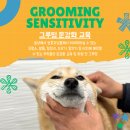 902댕스쿨 이미지