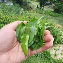 카페산바다 이미지