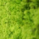 서울은평초등학교 이미지