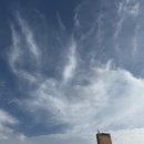 털보형네쪽갈비 | COALTAR HEART