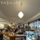 브라운씨 네이버블로그