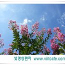 2013.07.18 빛(viit), 그랜드 마스터를 깨우다 이미지