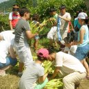 서해안농장 이미지