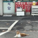 예뜨락한식부페 이미지