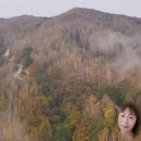 연주피부
