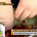 웰빙 김치 만들기 이미지