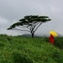 신창2 발전소 이미지