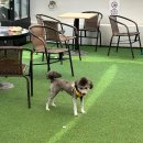 몽실쌀롱 이미지