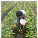 스마일2 농장 이미지