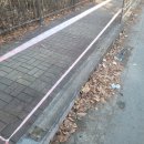 서현산업개발 이미지