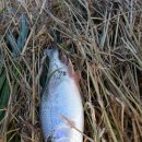 미탄주유소 이미지