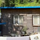 훼미리낚시터 | 스페셜 포토덤프 ㅣ대전 근교, 쉴 새 없이 물고기가 잡히는 공주 훼미리낚시터