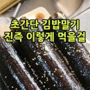 스팸과 오이 계란으로 초간단 김밥말기 진즉 이렇게 먹을걸 #shorts 이미지