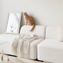 마네모네 이미지