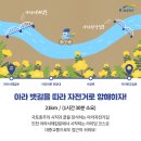 육대주센타