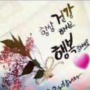 해바라기 와 아름다운 그녀 이미지
