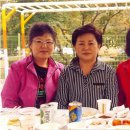 화춘