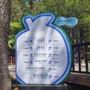 꿈나무교통나라 이미지