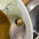 본가식당 | 울릉도 저동 맛집 삼정본가식당 주차 따개비칼국수 내돈내산 후기