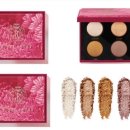 브라운스프링 이미지